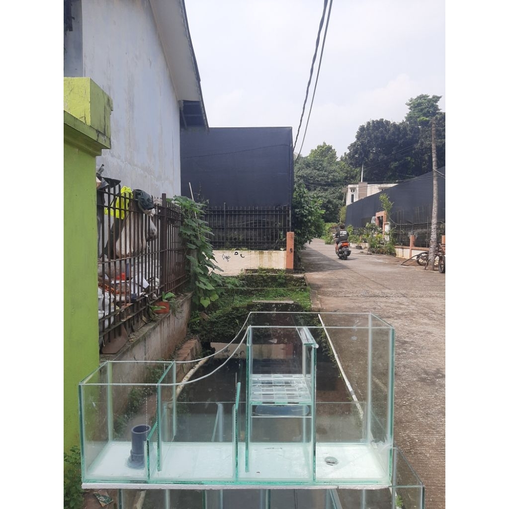 Top Filter Kaca China Style 60cm