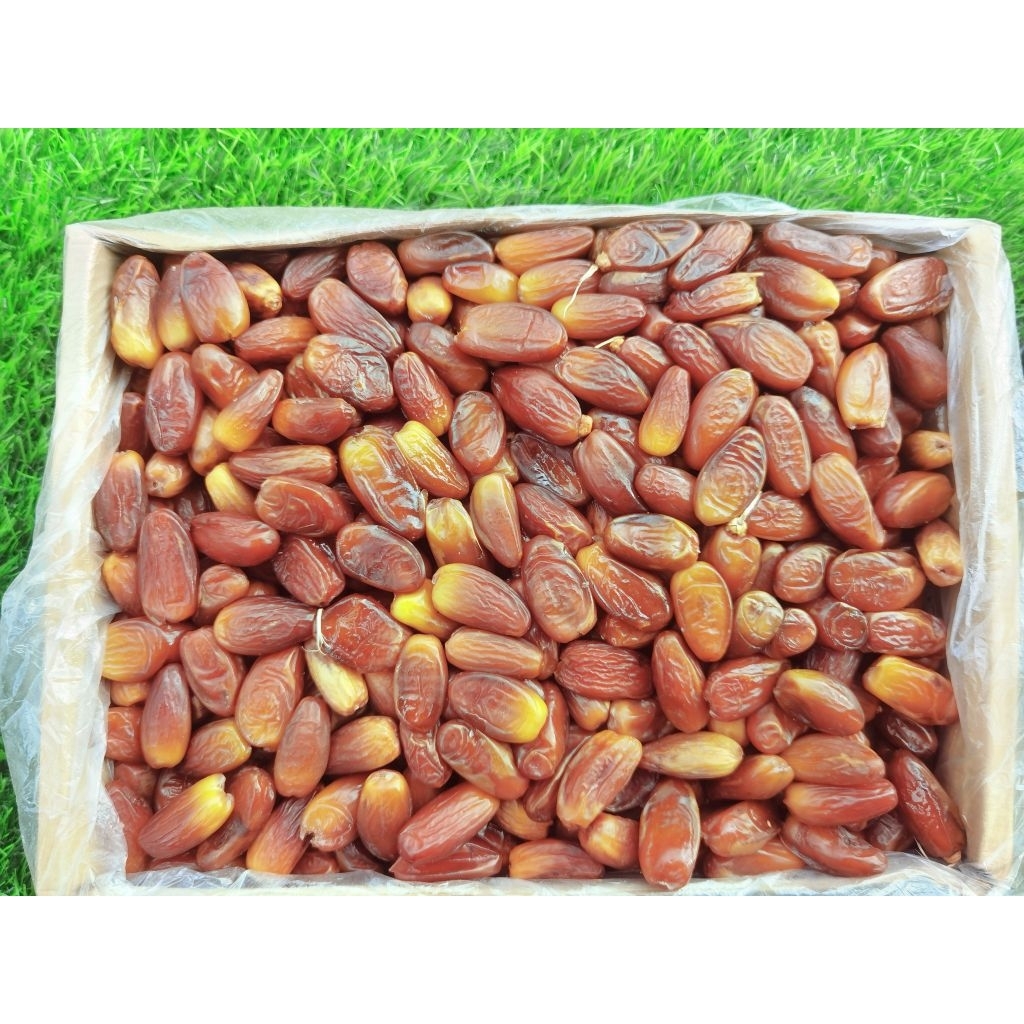 

Kurma Tunis madu/ Tunis alger non tangkai