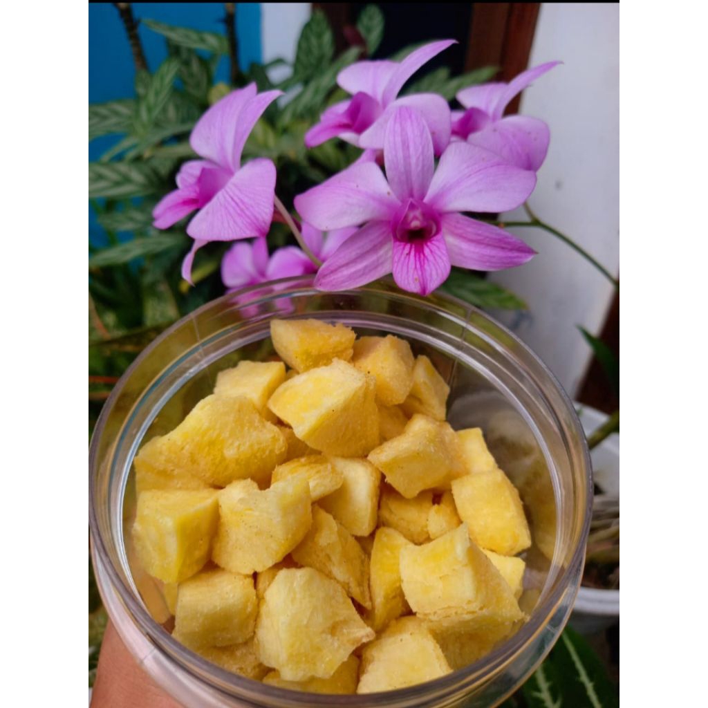 

Kripkus (Keripik Singkong Kukus)