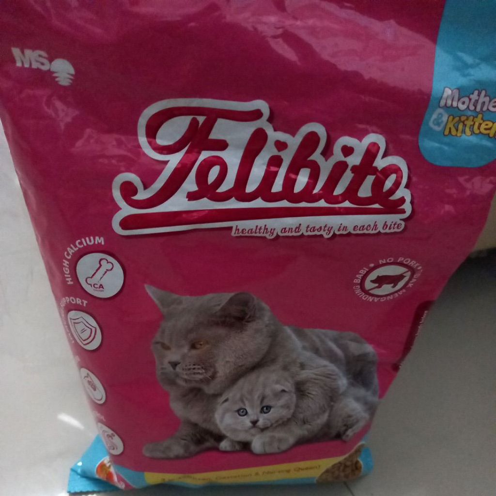 Felibite Mother & Kitten