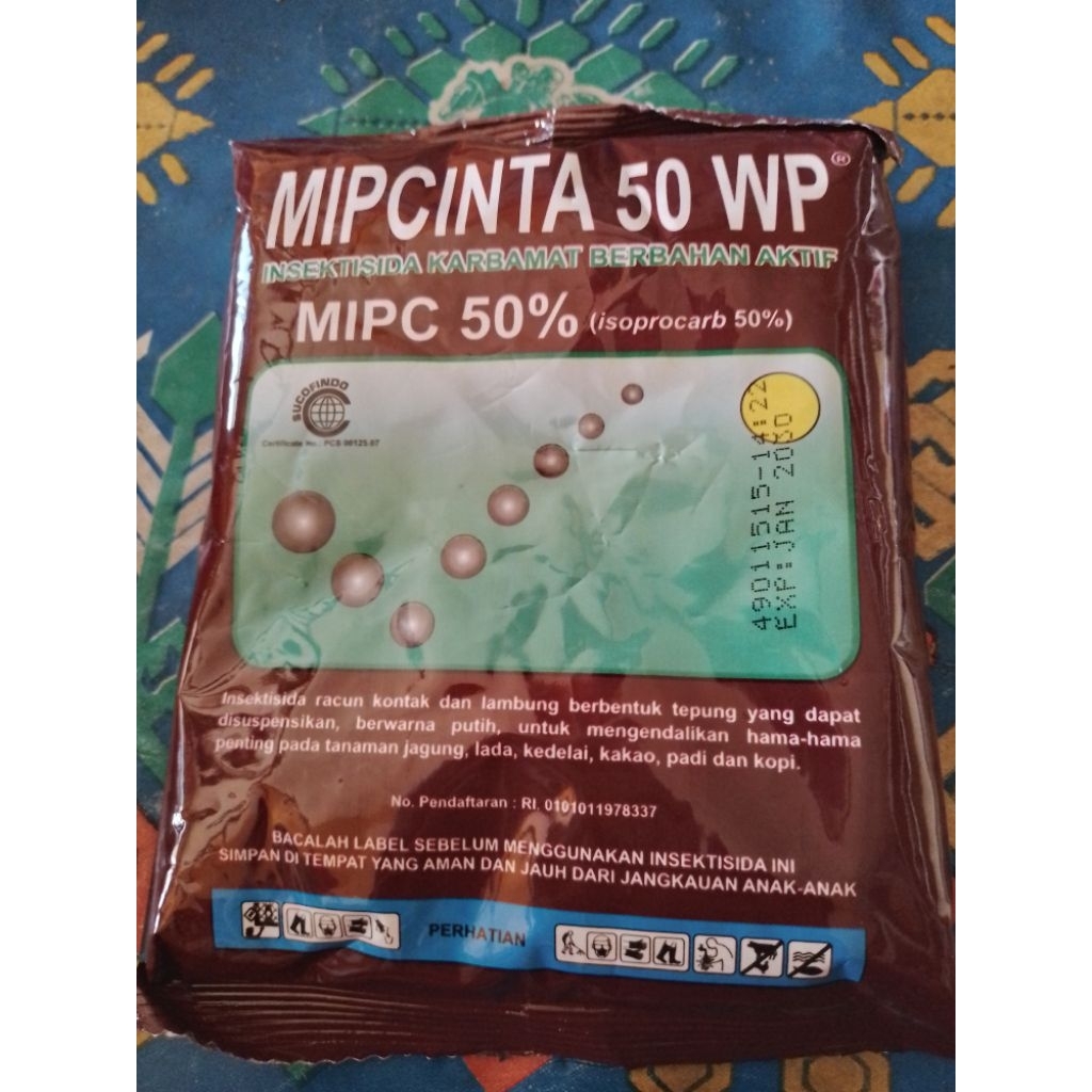 racun semut serangga MIPCINTA