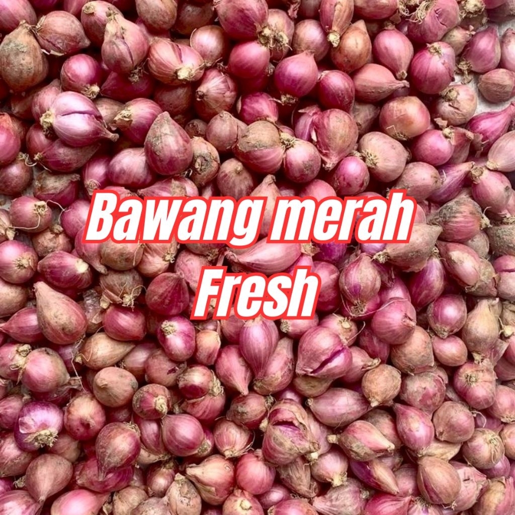 

BAWANG MERAH FRESH/Beli per kilo