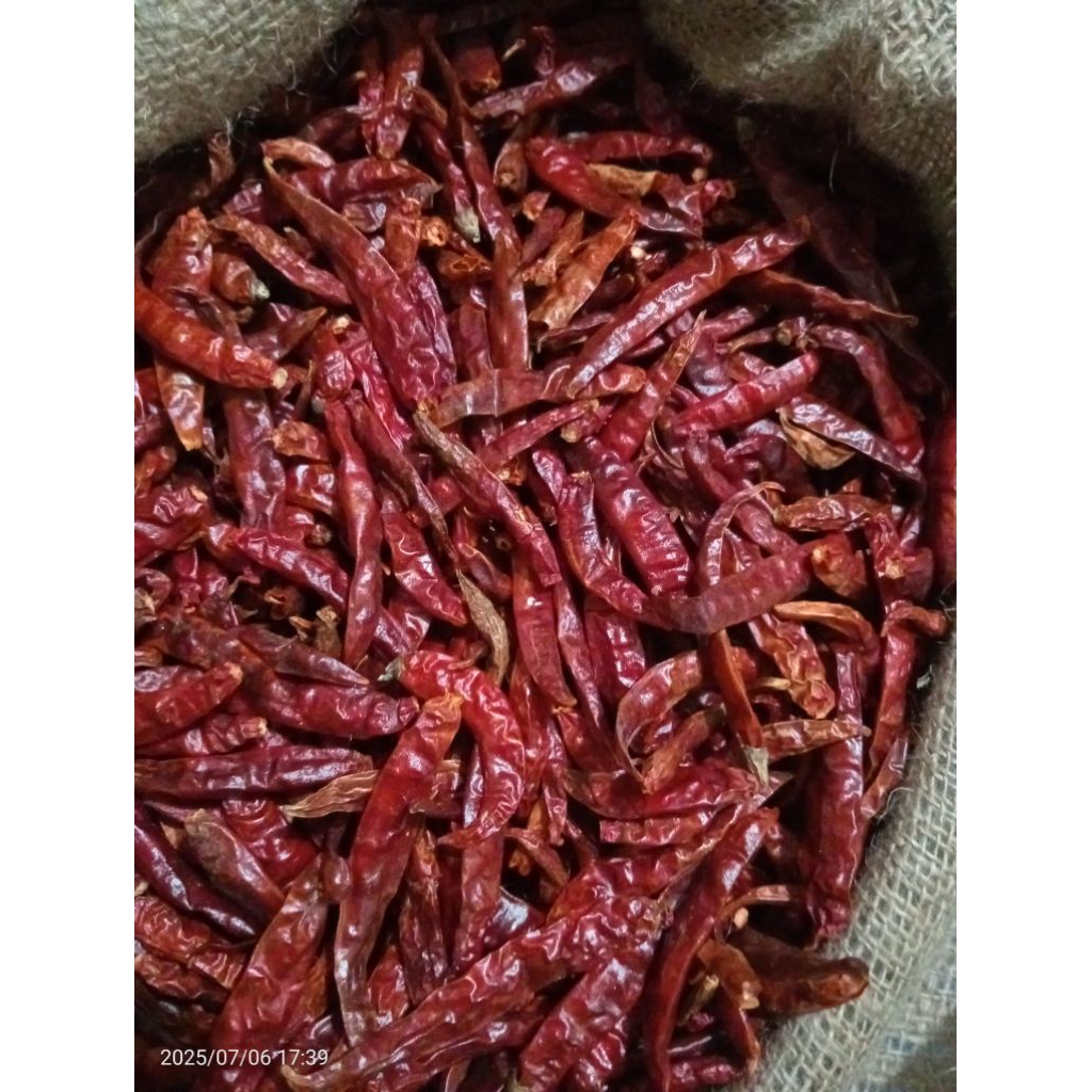 

CABE TEJA KERING TANPA TANGKAI