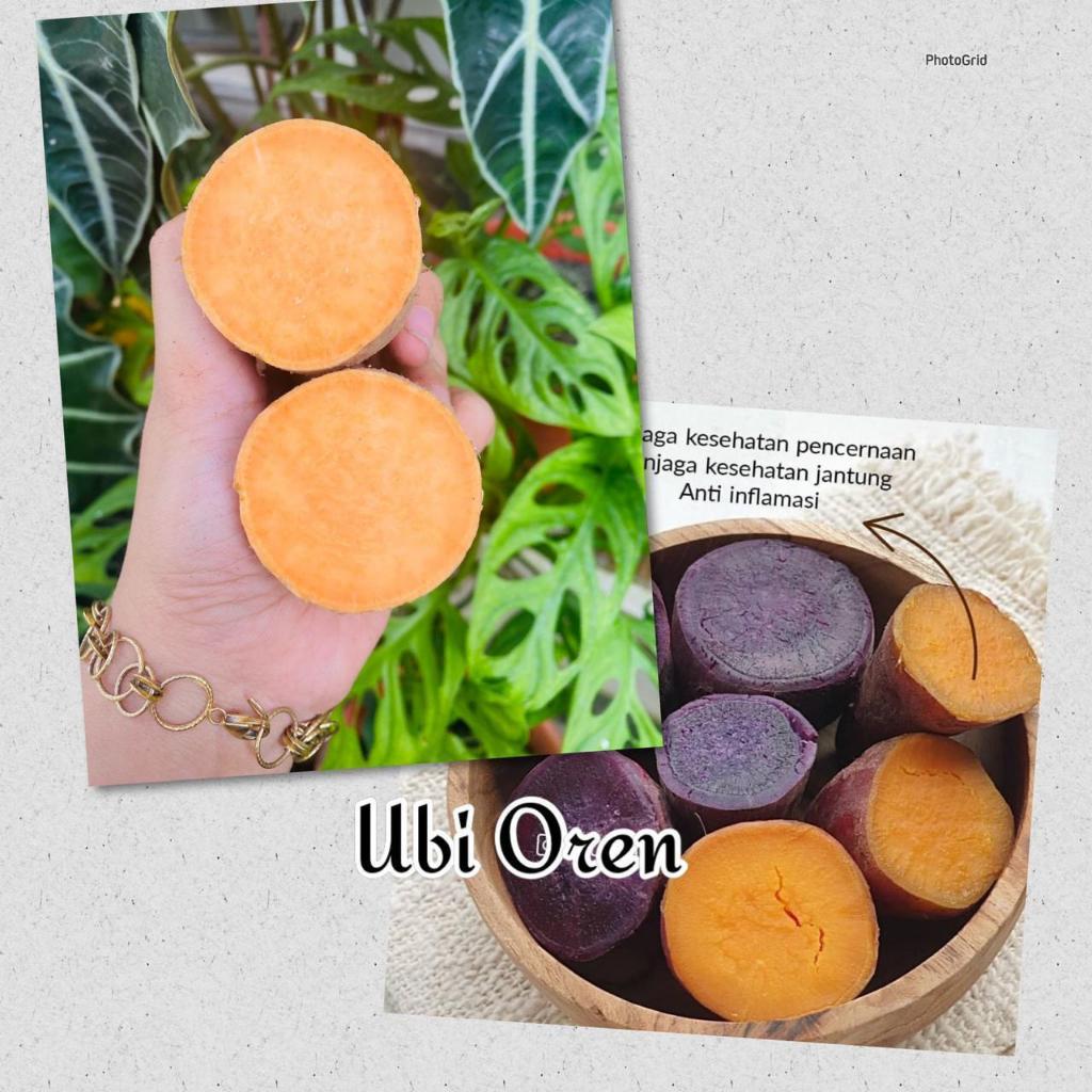 

Ubi MADU ORENS RASA ENAK KAYA AKAN MANFAAT BERAT 1 KG
