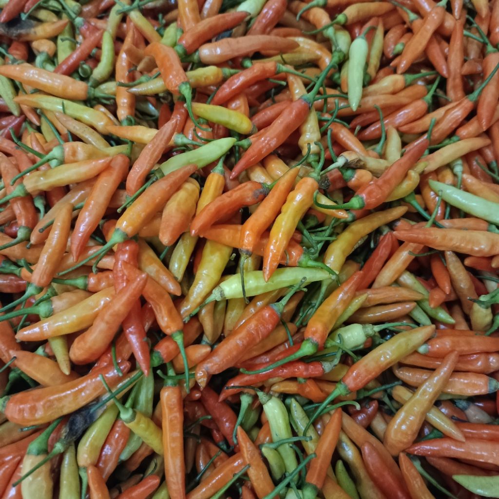 

rawit merah fresh 1 kg,1/2kg,1/4kg,1ons