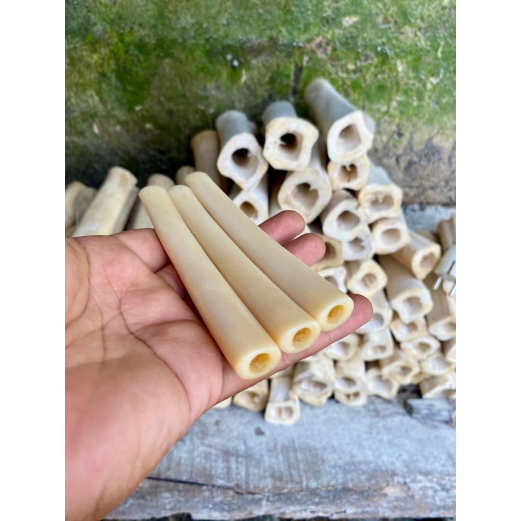 Once pipa tulang sapi oval tebal lubang multifungsi