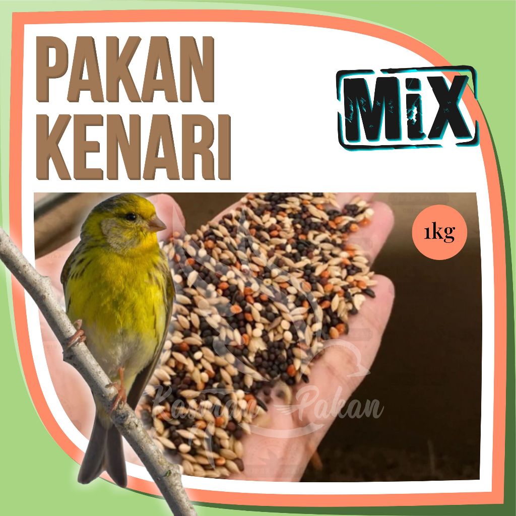 Pakan Kenari 1 Kg Campur Kiloan Premium Tinggi Biji Sawi Kenari Milet Kuning Merah Putih Niger Seed