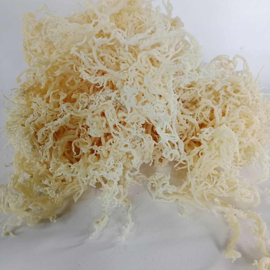 

Rumput Laut Kering Untuk Es Campur Dan Es Buah 1kg