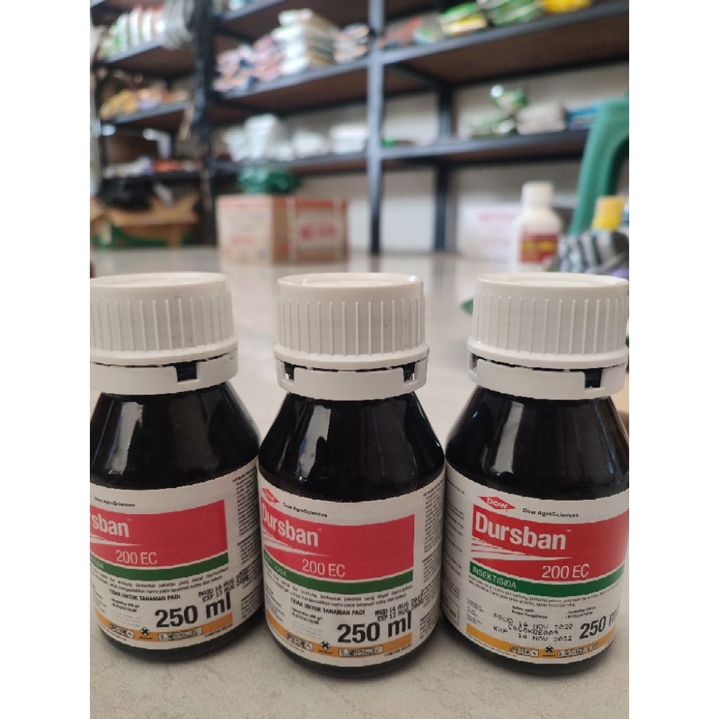 INSEKTISIDA DURSBAN 200EC 250ML