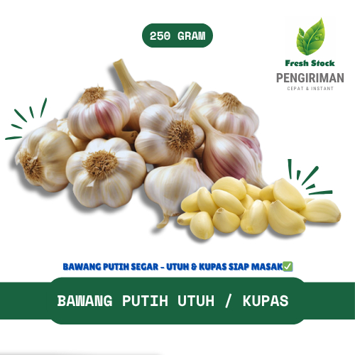 

BAWANG PUTIH UTUH & KUPAS | FreshStock