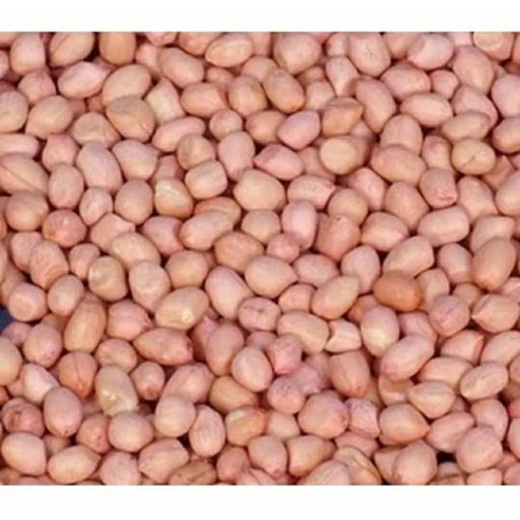 

kacang tanah putih ori berkualitas 1 kg