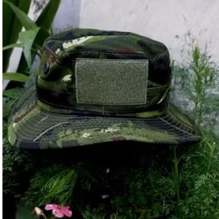 TOPI RIMBA TACTICAL PDL HABEMA – TERBARU