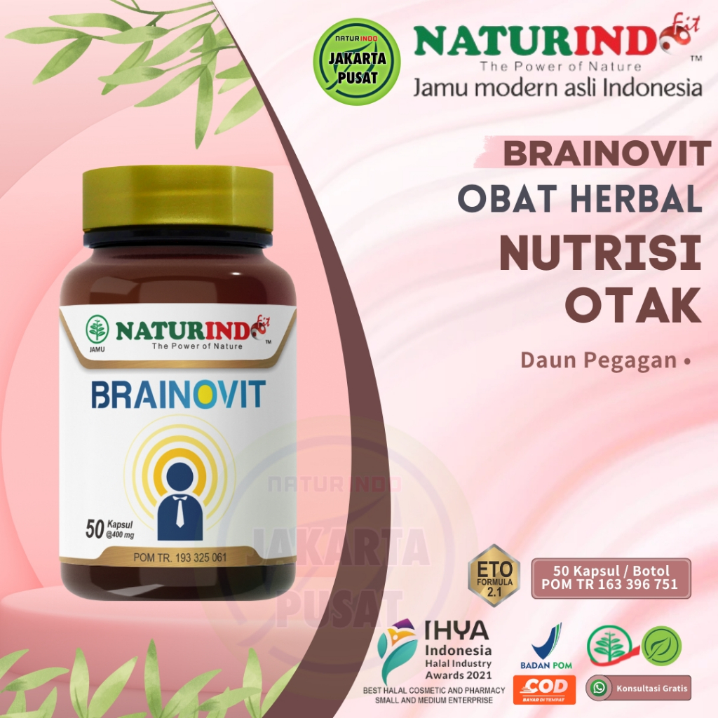 

Naturindo Brainovit Brainofit Obat Herbal Suplemen Nutrisi Otak Spesialis Penambah Daya Ingat Mencegah Mengatasi Demensia Pikun Mudah Lupa