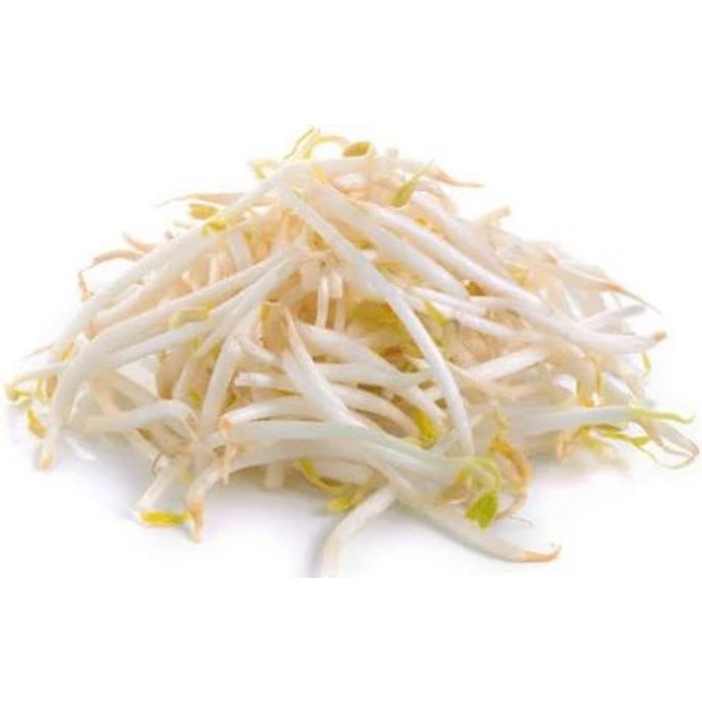 

tauge/toge panjang/kecambah