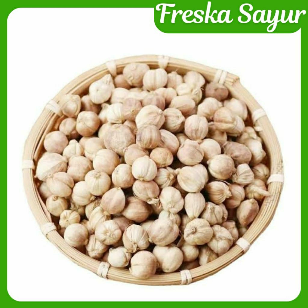 

Kapulaga 1 Bungkus Kecil