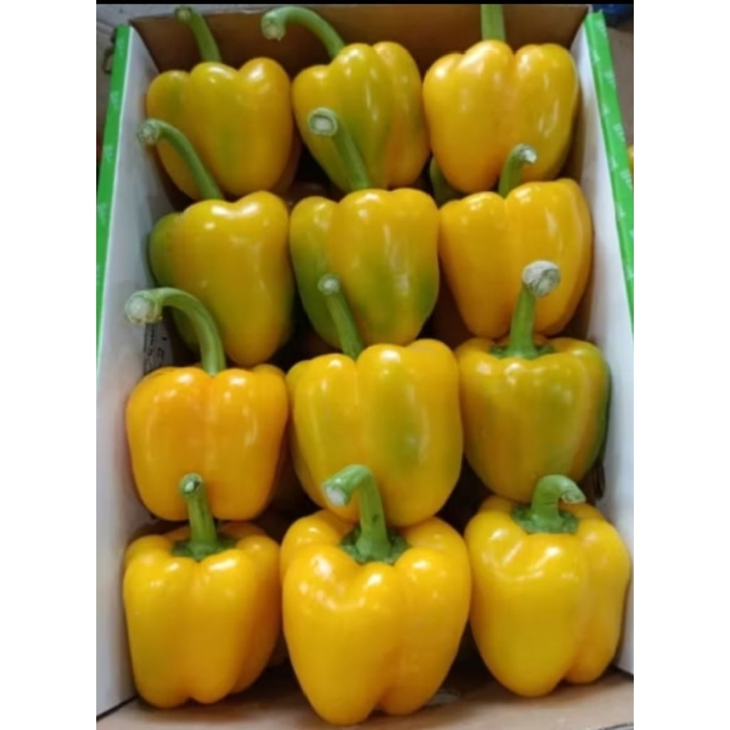 

paprika kuning segar 250gr