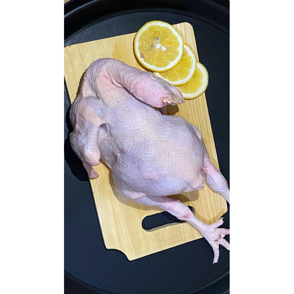 

Ayam 1 Ekor Utuh Besar