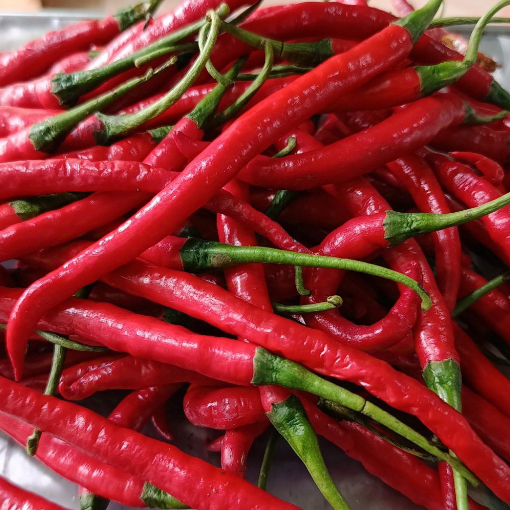 

Cabe Merah Keriting Segar 1kg/500gr/250gr Cabe Keriting Merah Cabai Merah Keriting Murah