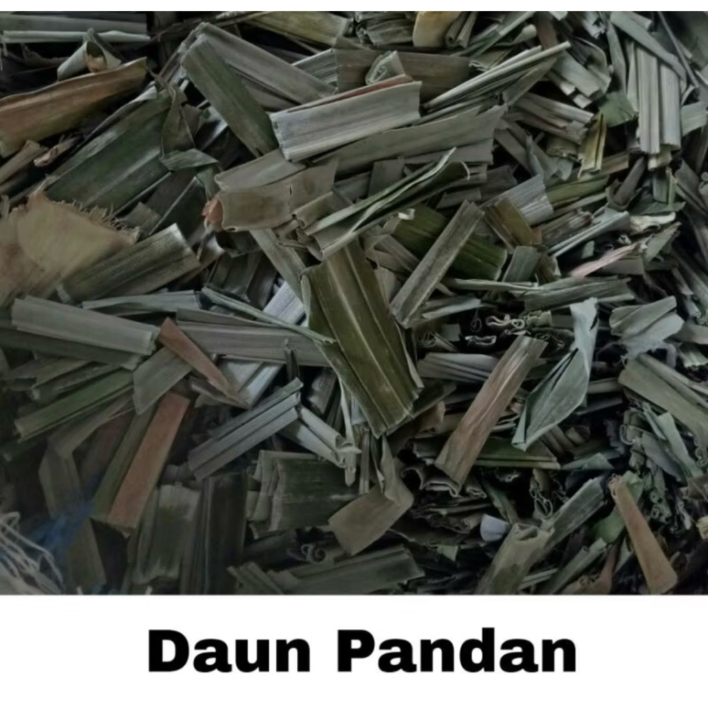 

daun pandan wangi kering