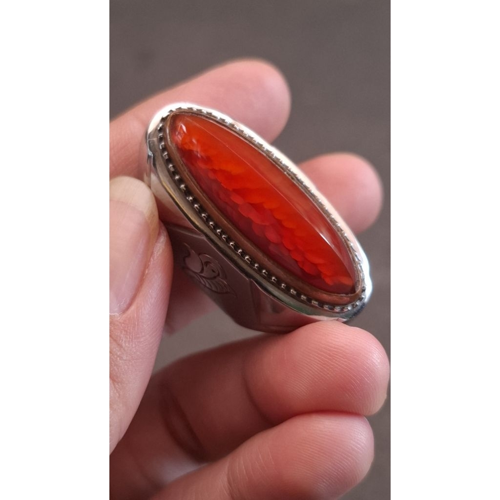 pandan merah batu akik pandan