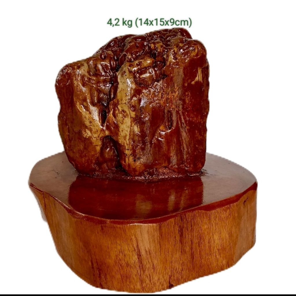 batu hias suiseki fosil kayu galih/badar asem (121)