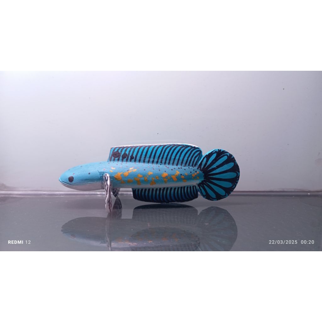 Patung channa blue pulchra ukuran 13 cm