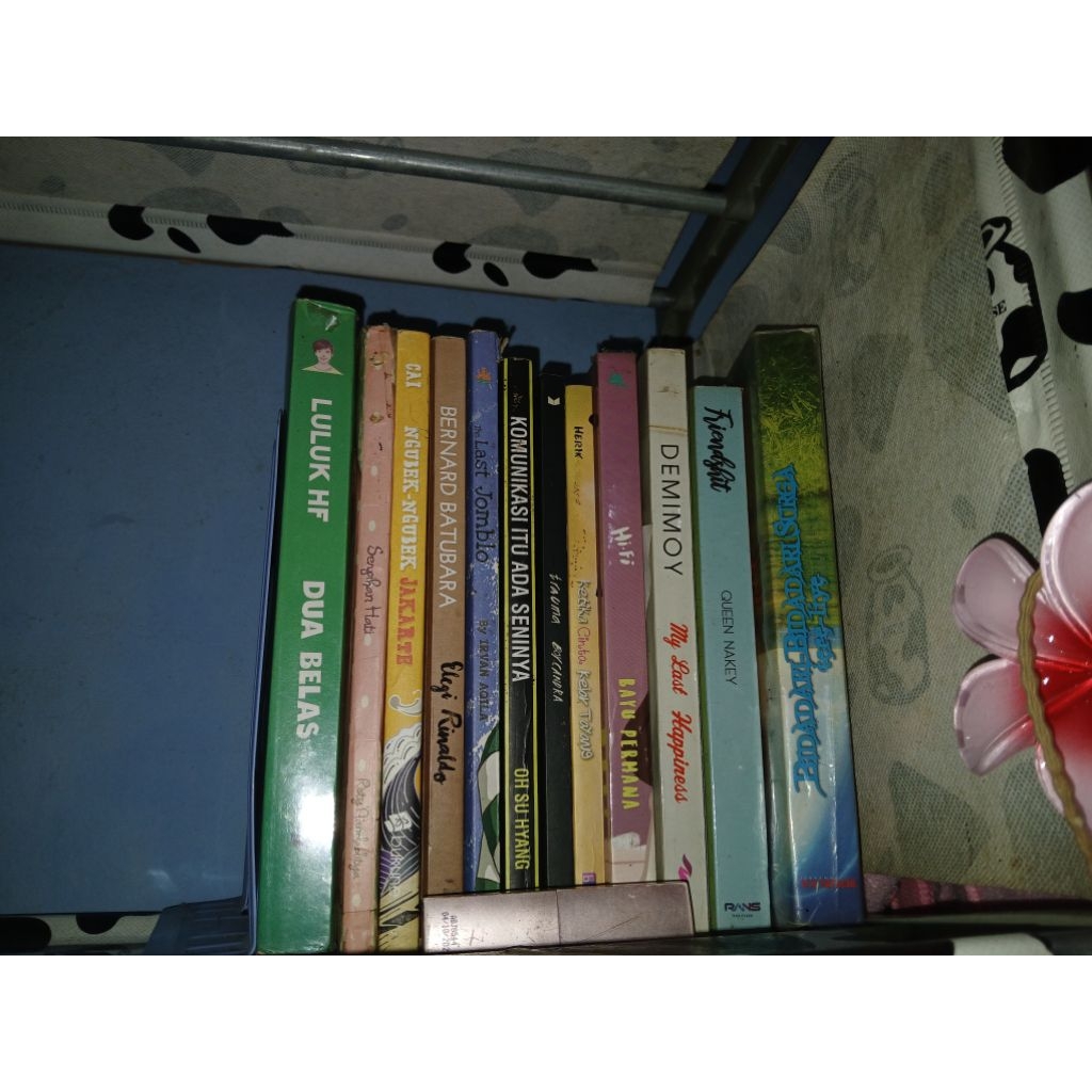 

novel preloved