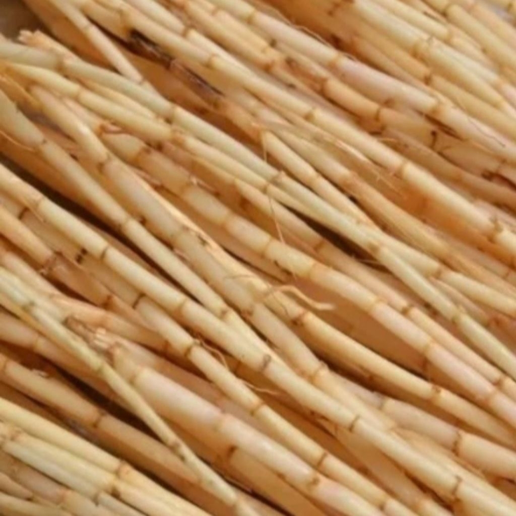 

per 1kg akar alang-alang bersih segar sehat