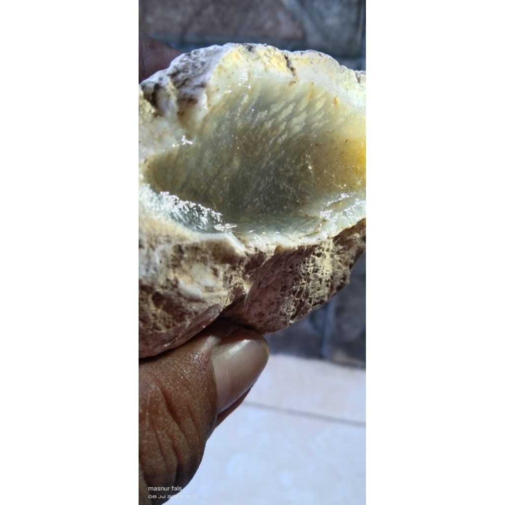 Batu fosil kelor super crystal bahan tunggal kulit putih super istimewah
