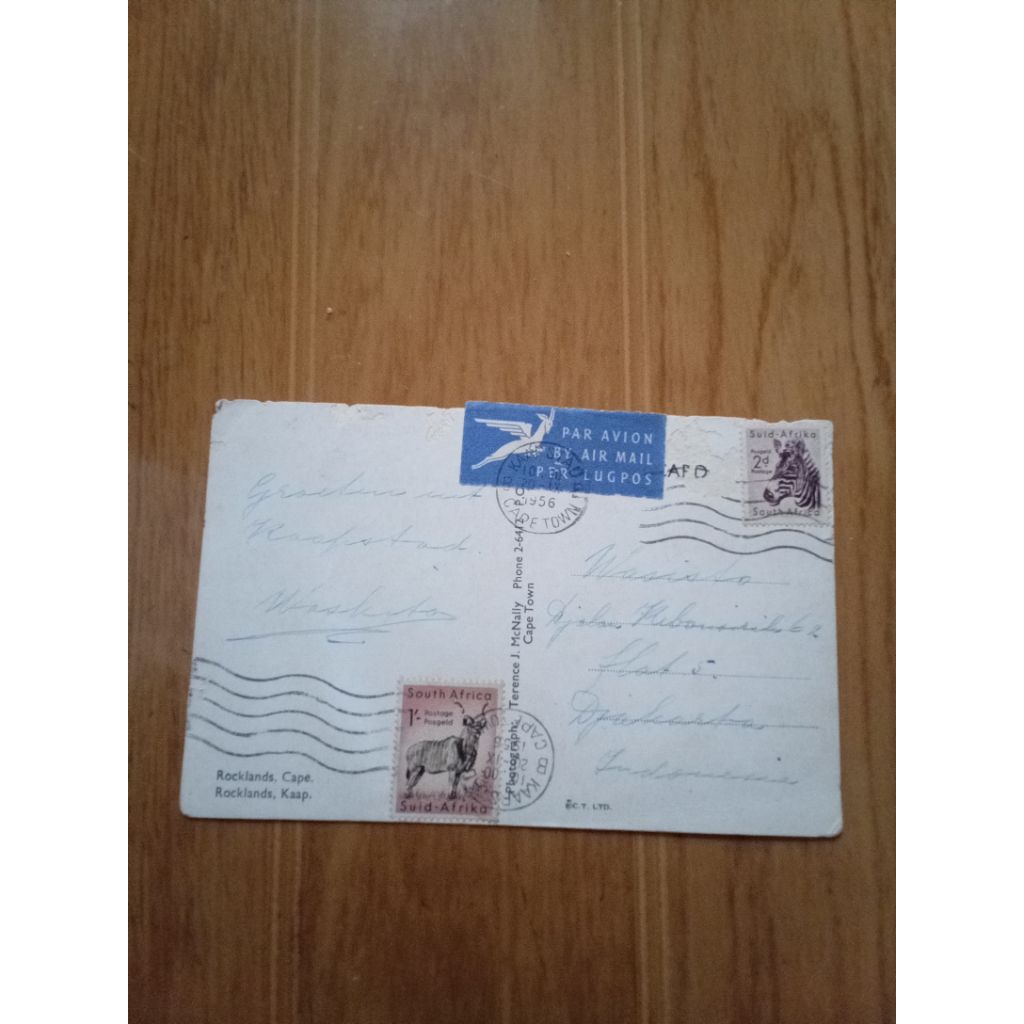 

postcard south africa 1956