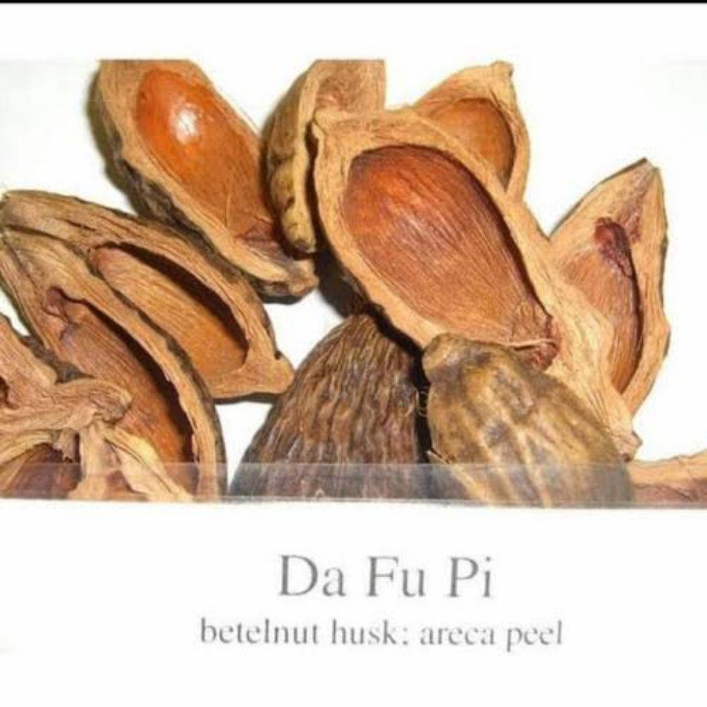 

Da Fu Pi(Iris)/大腹皮片/Areca catechu/Kulit Buah Pinang