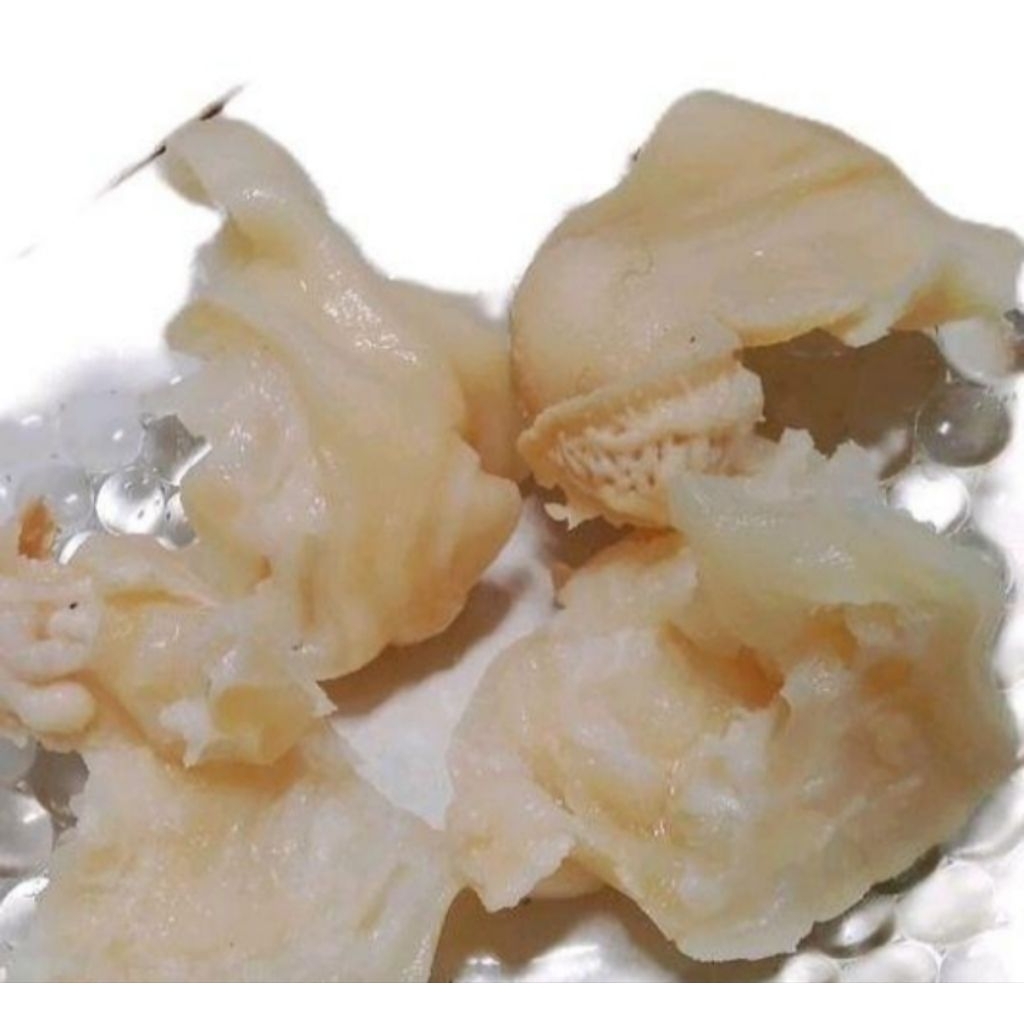 

tunjang / Kiki kaki sapi tanpa tulang 95_100 gram per pcs sudah matang