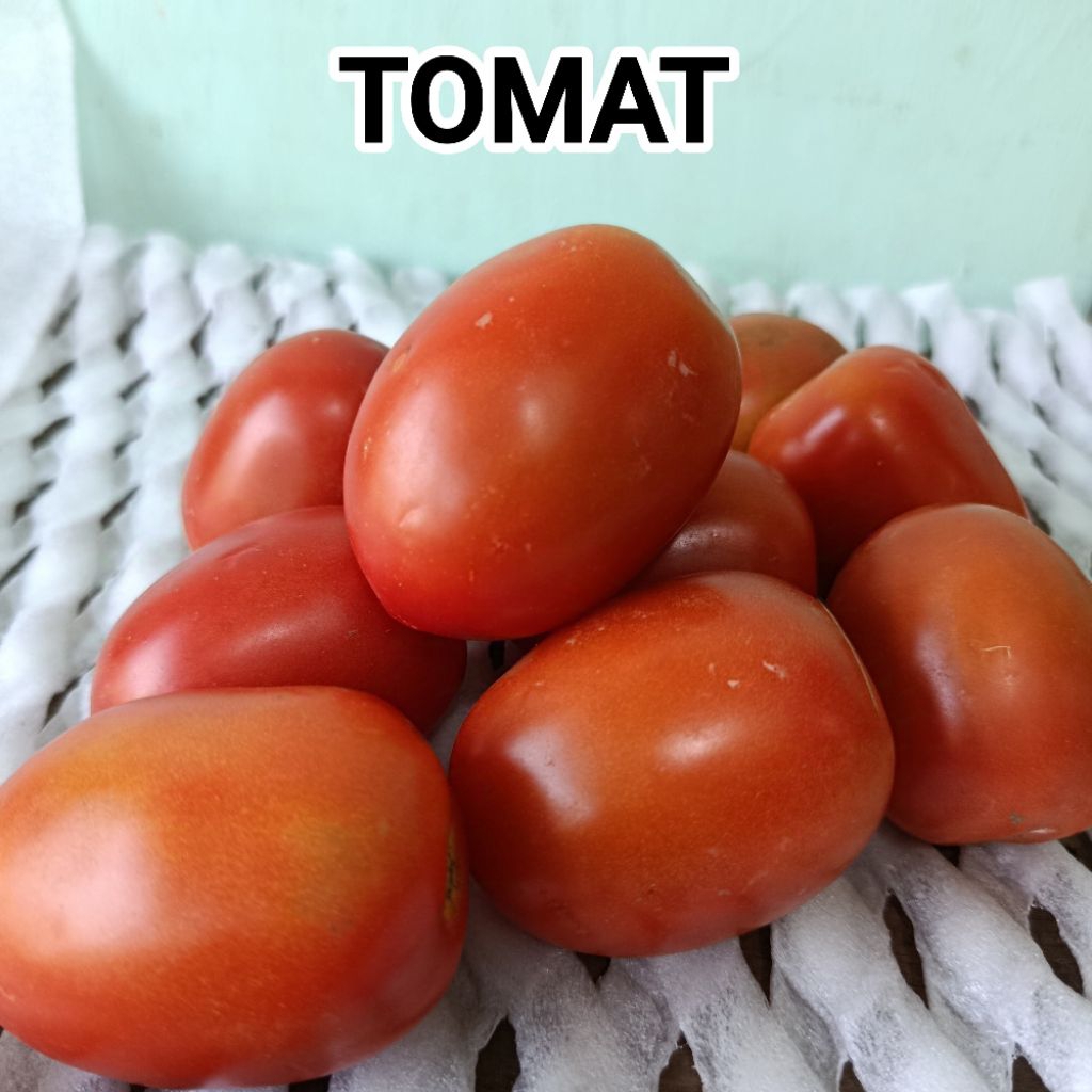 

Tomat Merah Fresh 100gr / Tomat Segar / Tomat Murah