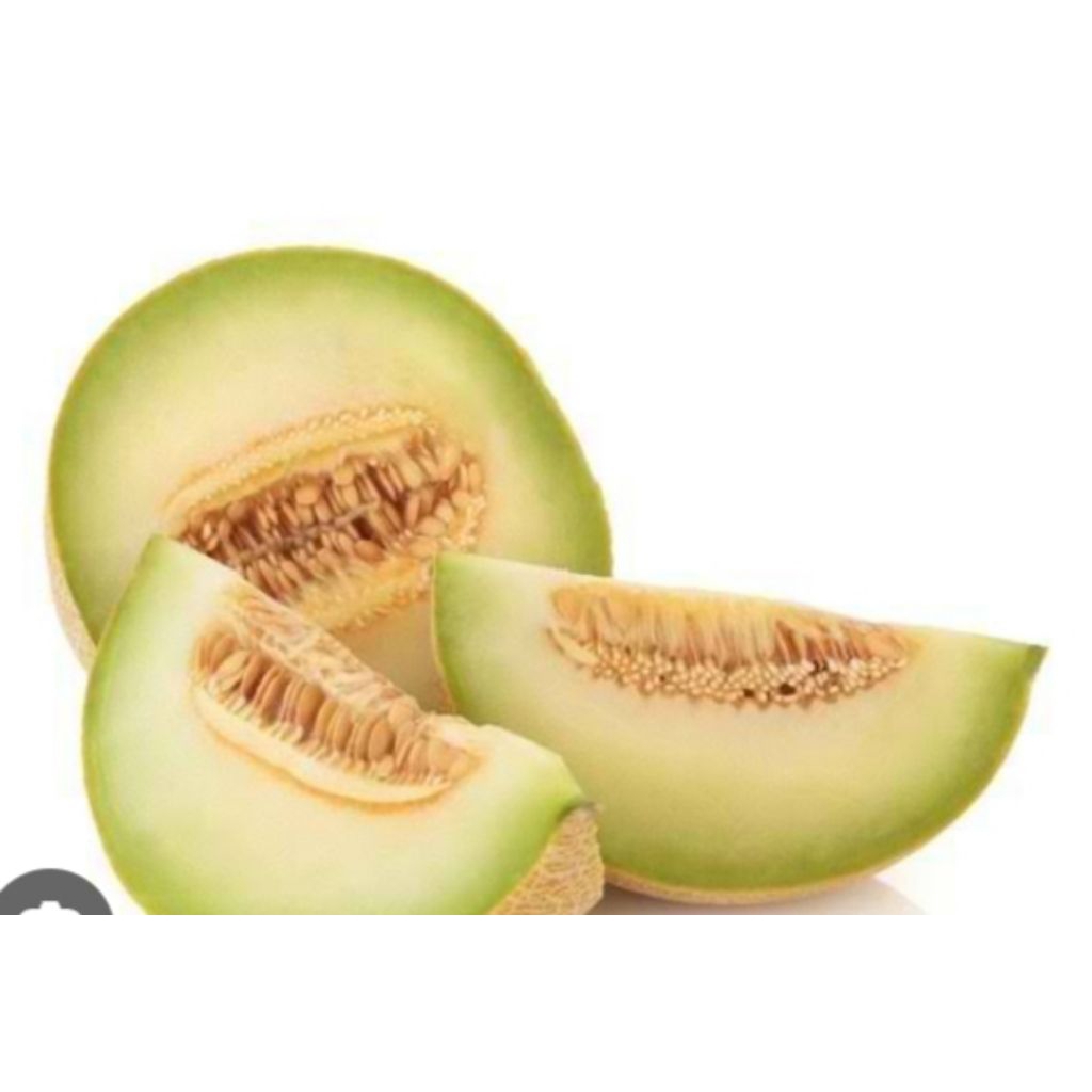 

melon