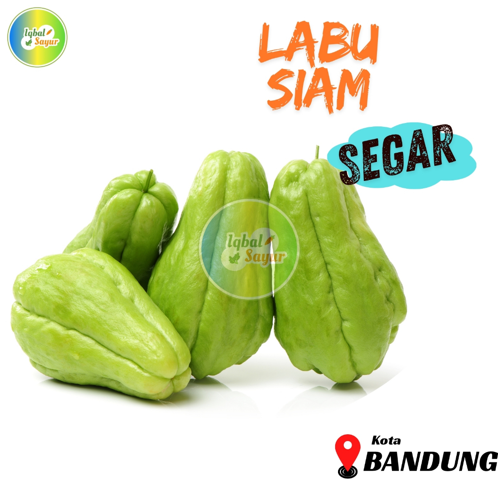 

Labu Siam Besar / Waluh Besar Segar 1 Pcs Bandung