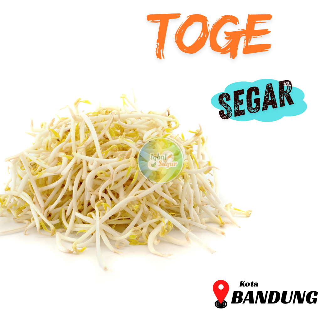 

Tauge / Toge Segar Bandung