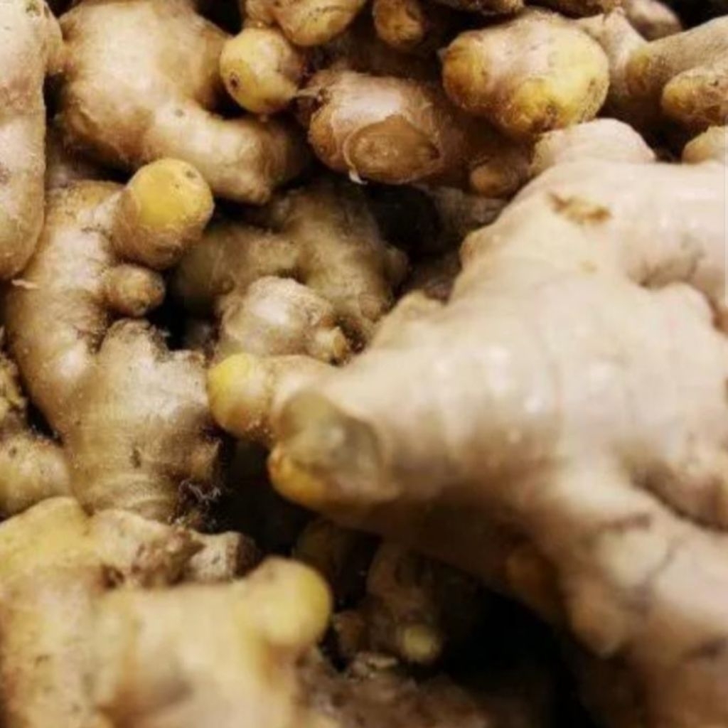 

jahe putih atau jahe gajah per 1kg