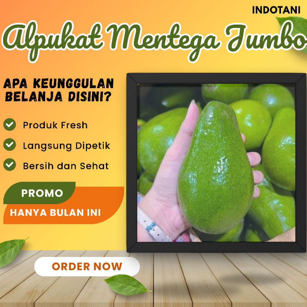 

INDOTANI_ Alpukat Mentega Jumbo Kualitas Unggul