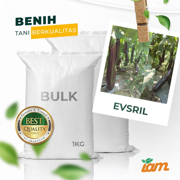 

BULK 1kg – terong ungu panjang F1 (EVSRIL)