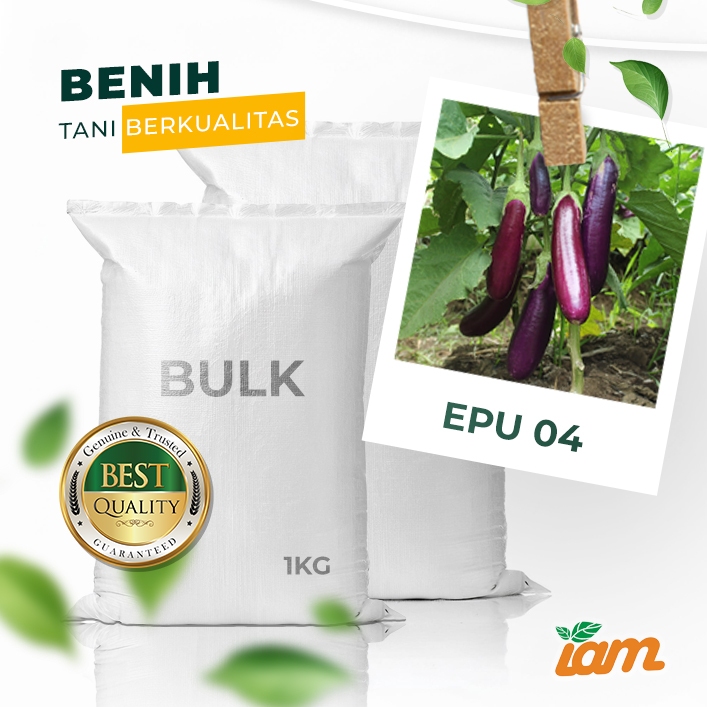 

BULK 1kg – terong F1 (EPU 04)