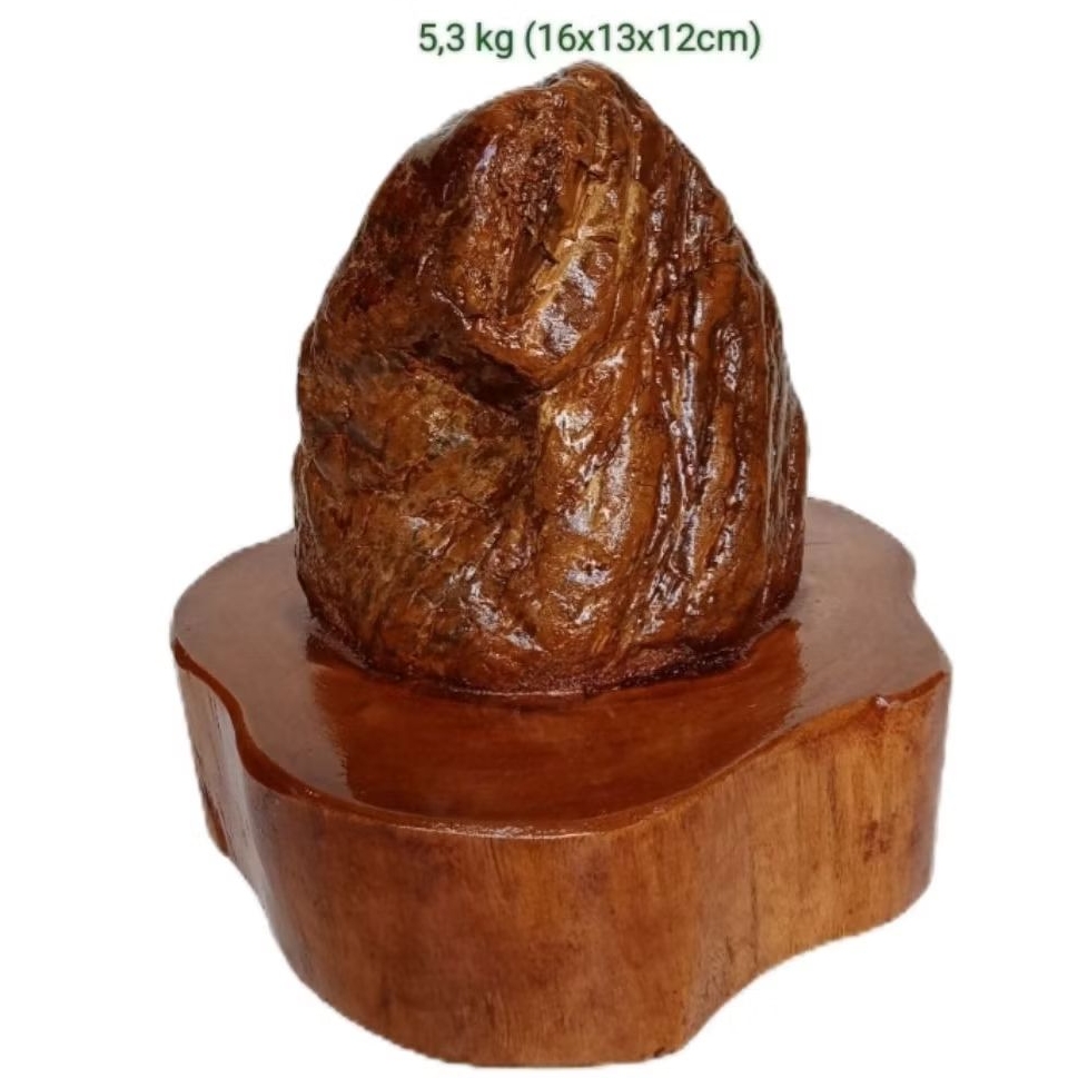 batu akik hias suiseki fosil kayu galih/badar asem (132)