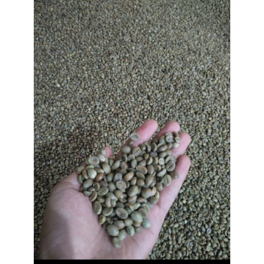 

Green Bean Robusta Gesing Kandangan Temanggung