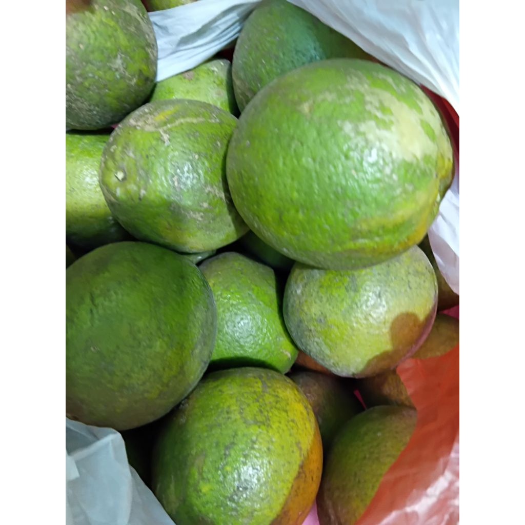 

jeruk baby atau jeruk peras