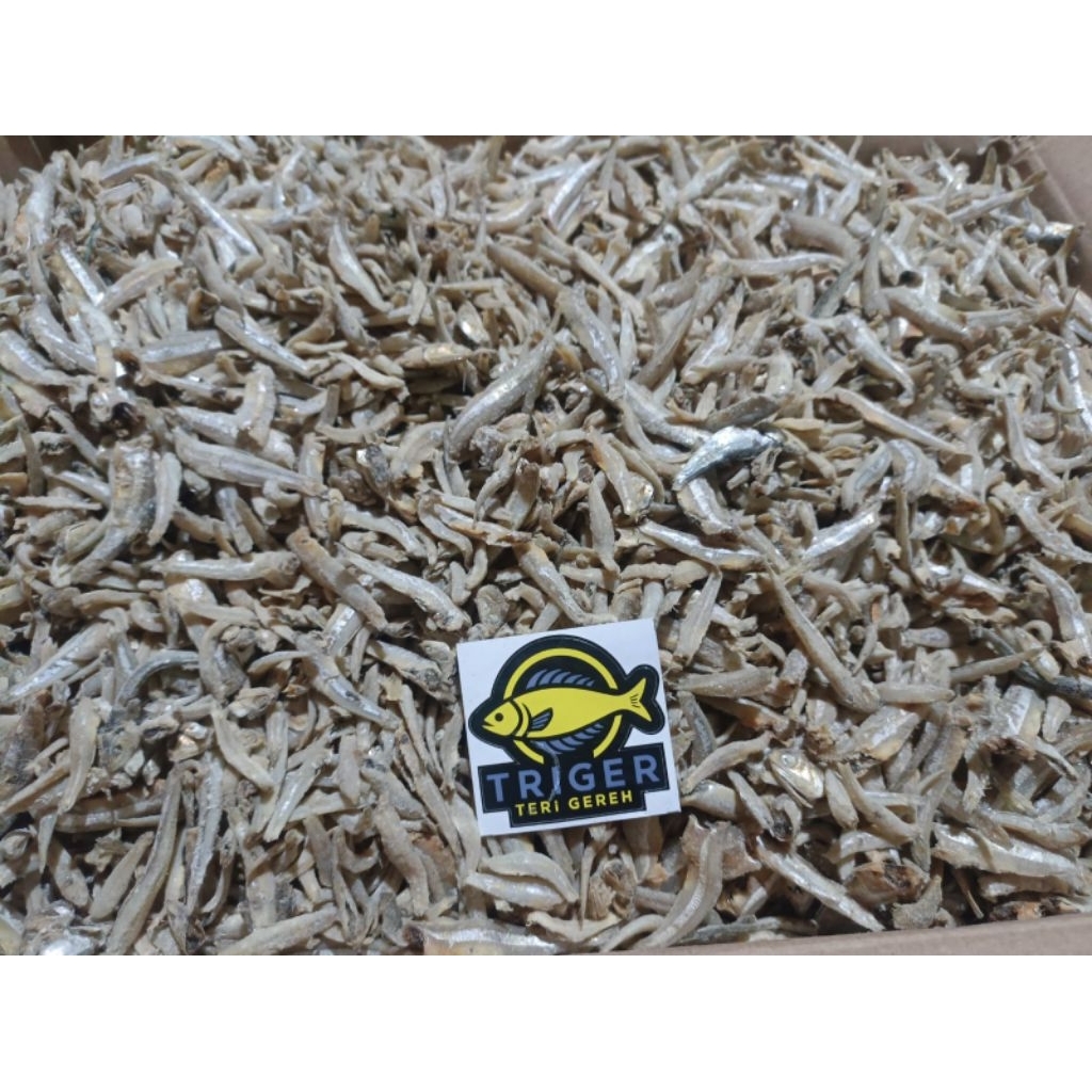 

teri gundul/jengki, teri tanpa kepala 70.000/kg