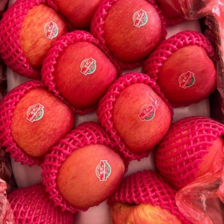 

Buah Apel Fuji Premium Fresh Impor