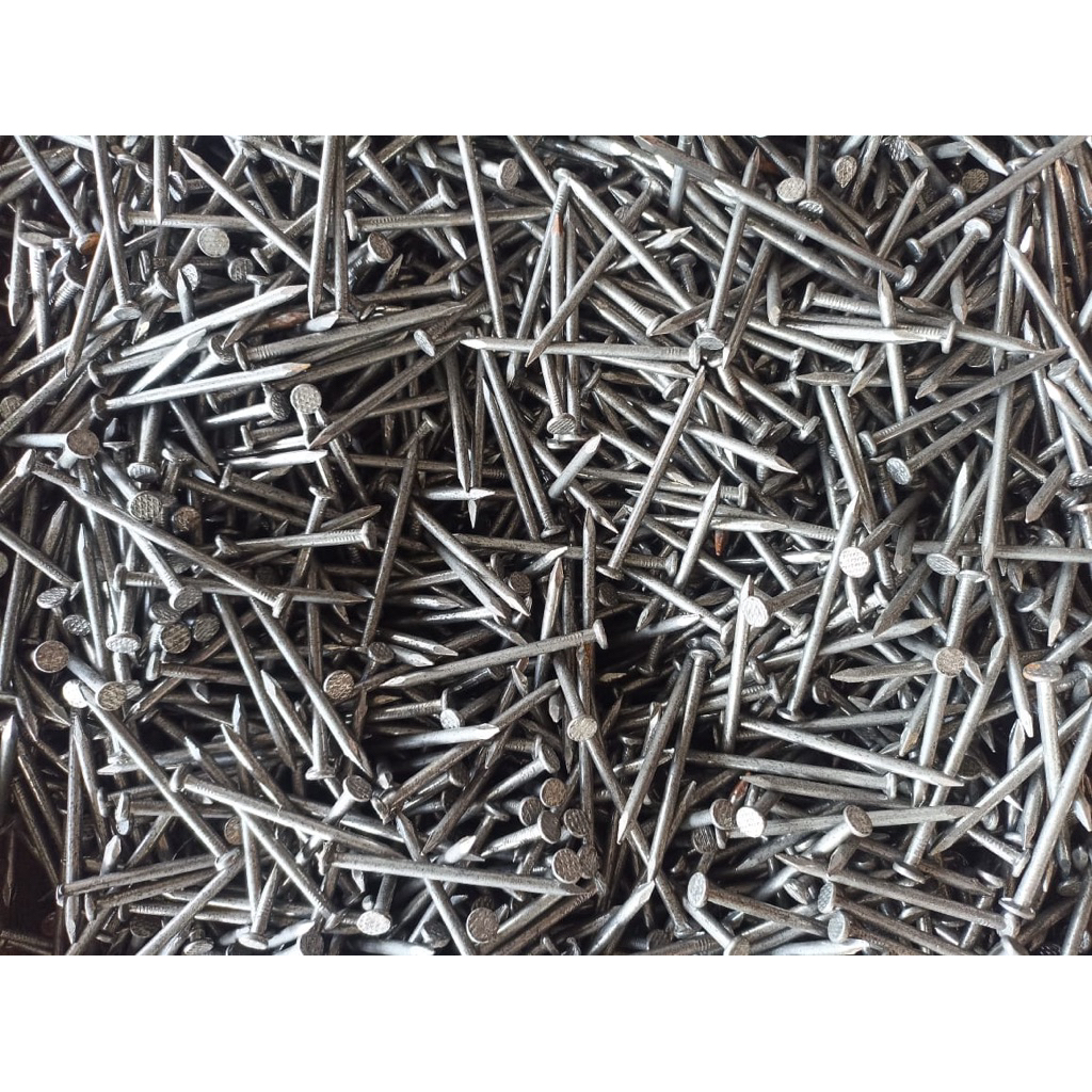 Paku kayu Raja Paku ukuran 5cm 30kg