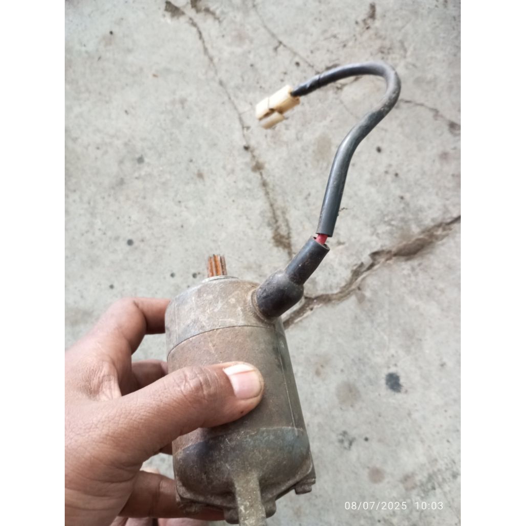 dinamo stater mio sporty