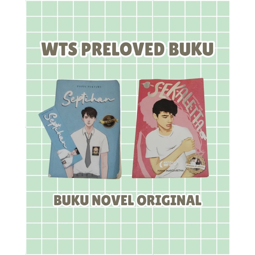 preloved buku novel (septihan & sekalletta)