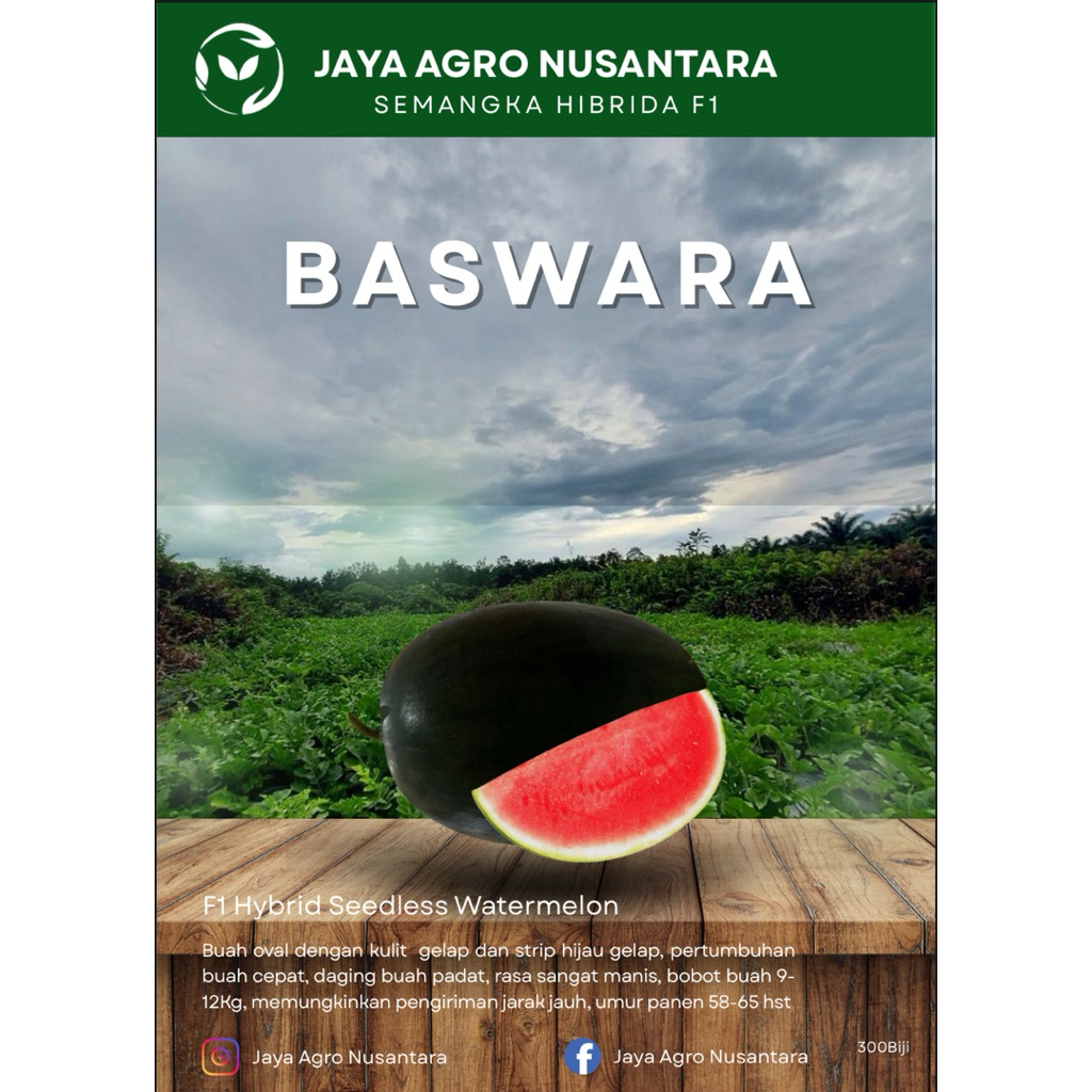 

BASWARA | Semangka Lonjong Tanpa Biji | Watermelon Seedless | Semangka Manis | Semangka Merah