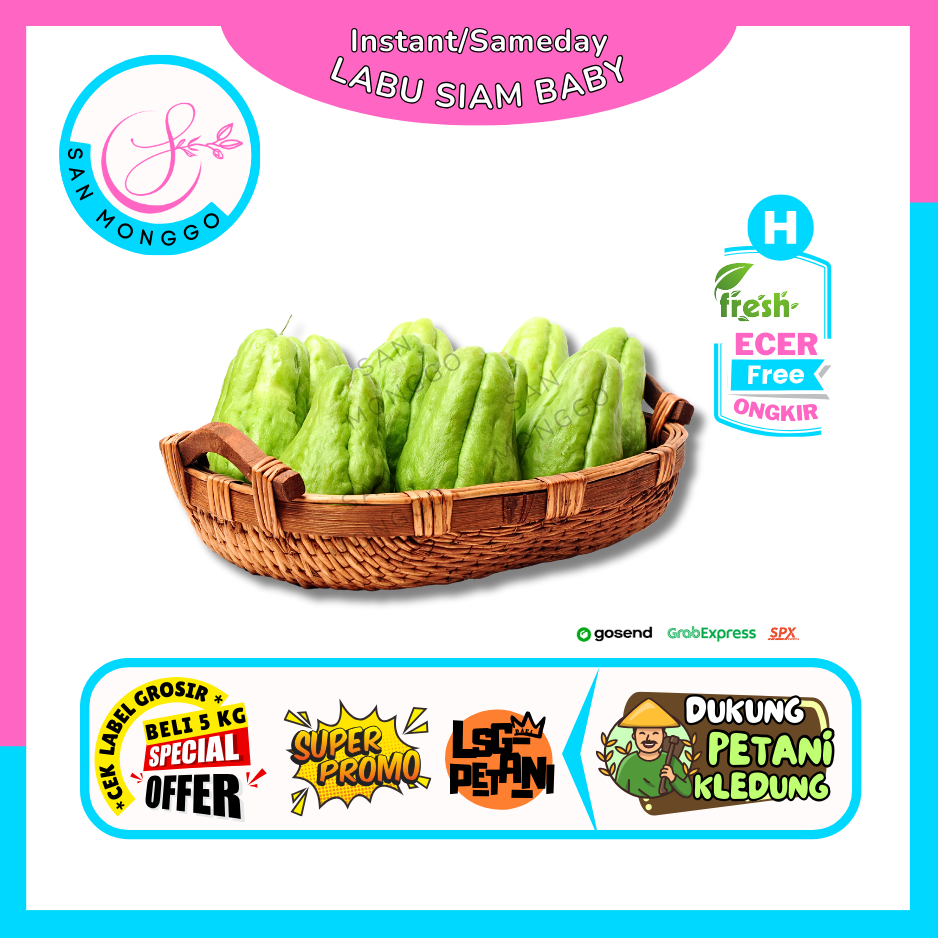 

Sanmonggoo >> Labu Siam Baby -- Hasil Bumi Sindoro Sumbing Ecer (H)